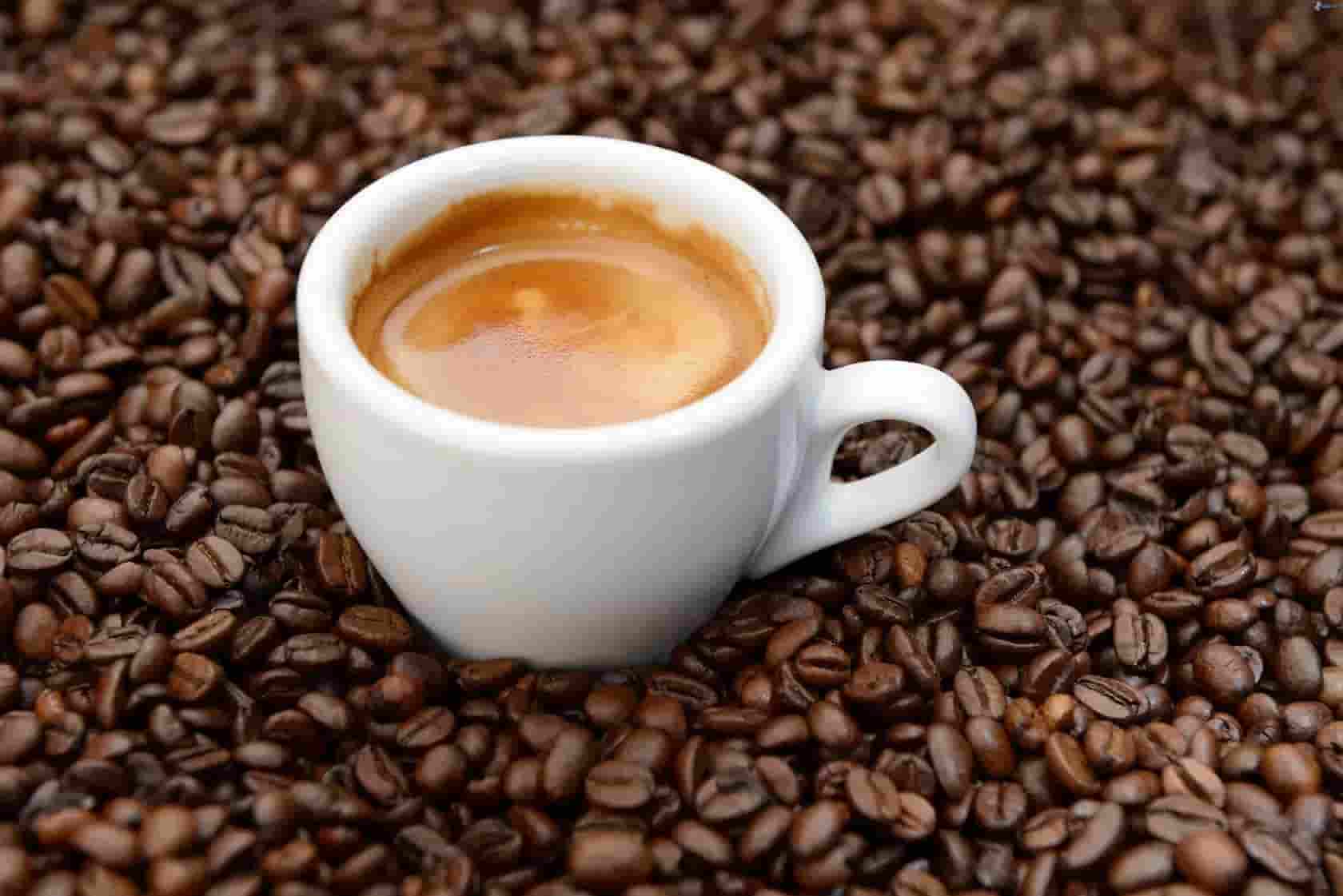 تصویر 4 از خرید قهوه رست + فروش صادراتی